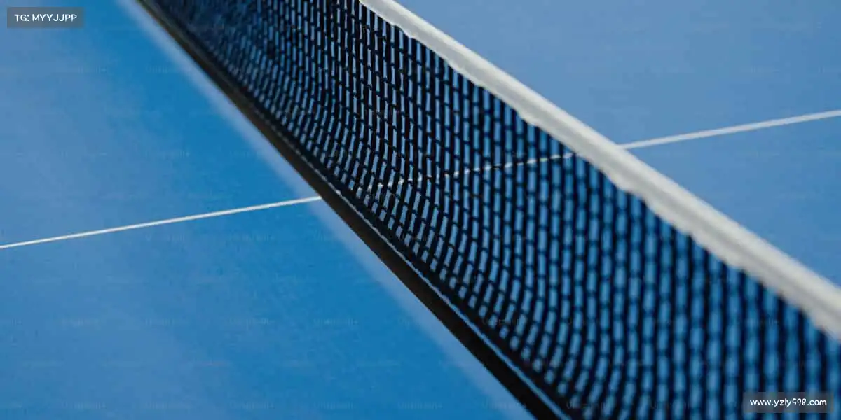 行业领先的理由